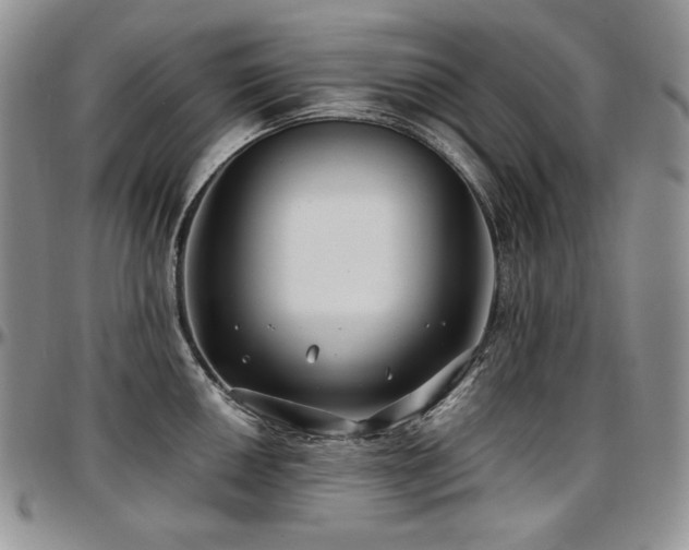 X0000097641050200802291400