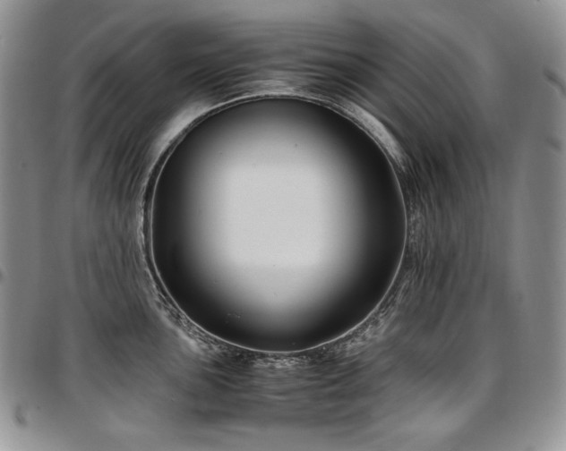 X0000097641051200802291400