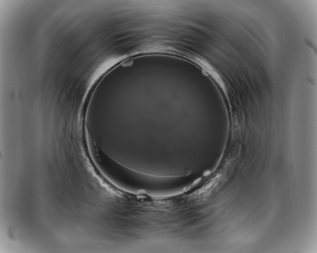 X0000097641053200802291400