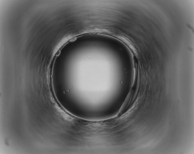 X0000097641054200802291400