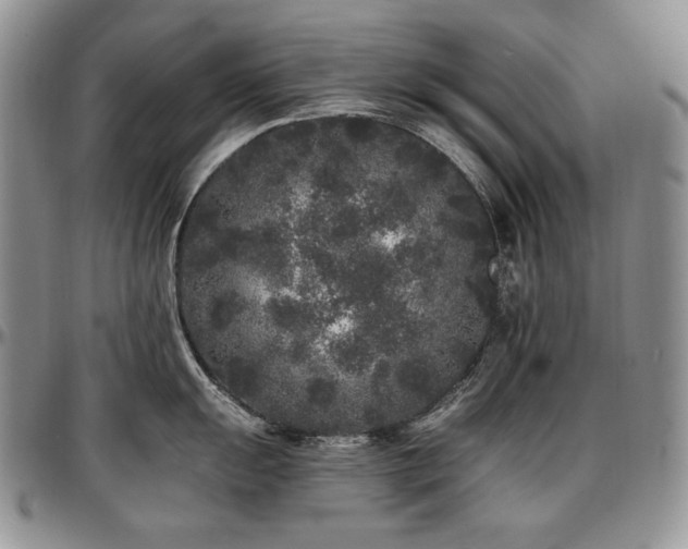 X0000097641055200802291400
