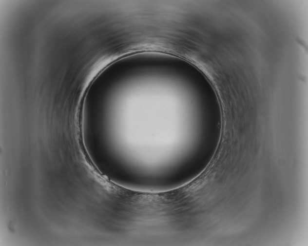 X0000097641056200802291400