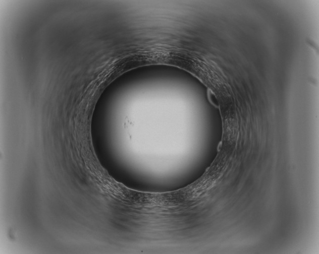 X0000097641057200802291359