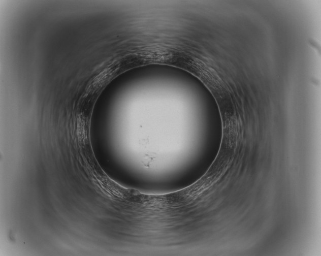 X0000097641058200802291359