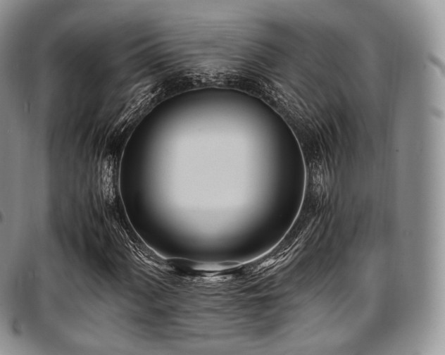X0000097641060200802291359