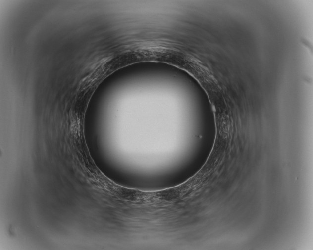 X0000097641061200802291359