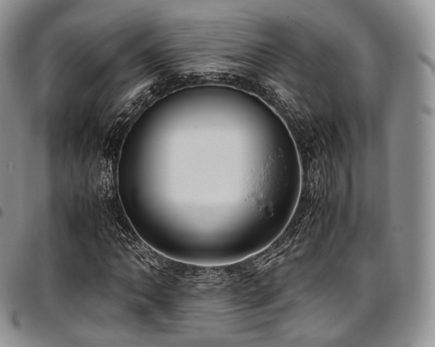 X0000097641062200802291359