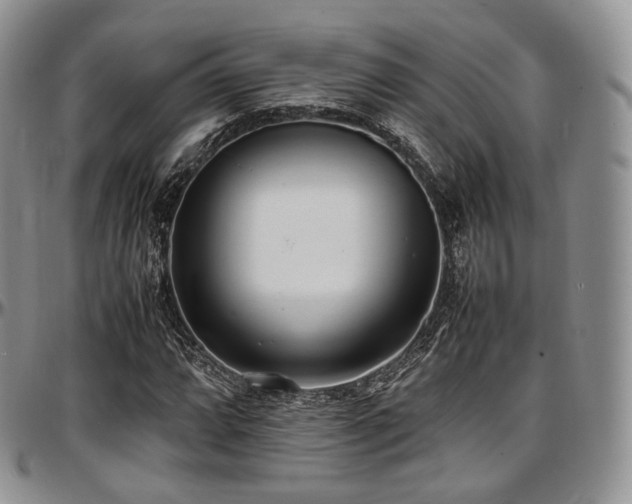 X0000097641064200802291359