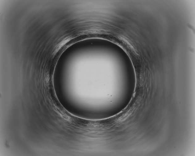 X0000097641065200802291359