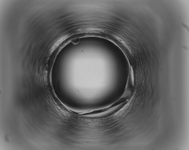 X0000097641066200802291359