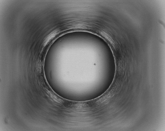 X0000097641067200802291359