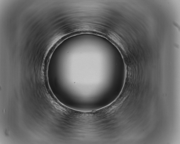 X0000097641068200802291359