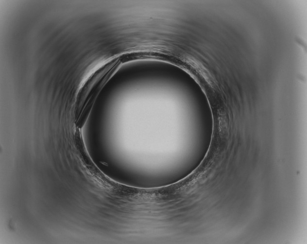 X0000097641069200802291359