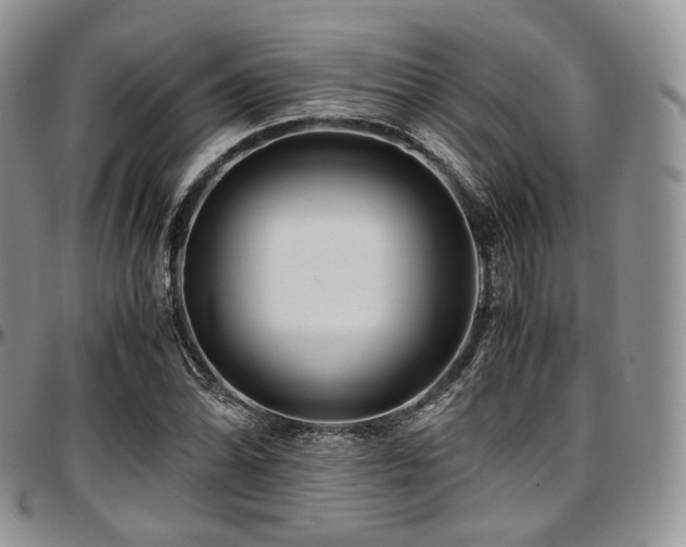 X0000097641070200802291359