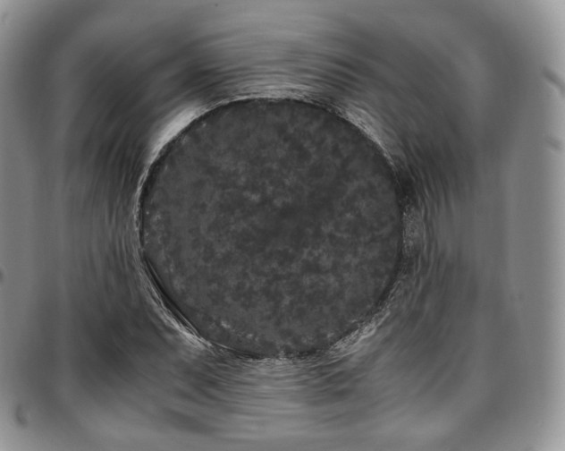 X0000097641071200802291359