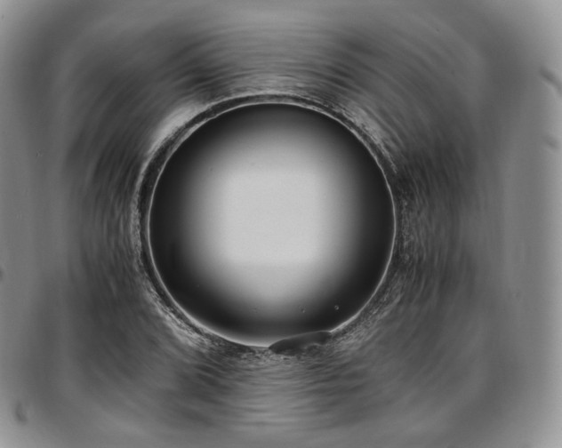 X0000097641072200802291359