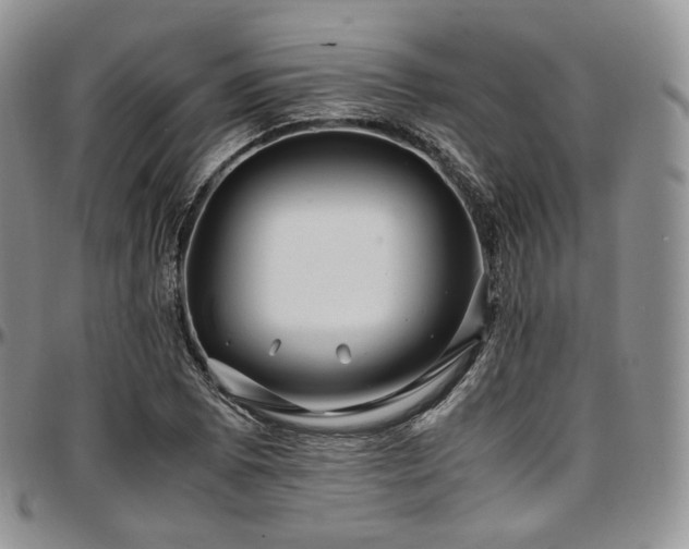 X0000097641073200802291359