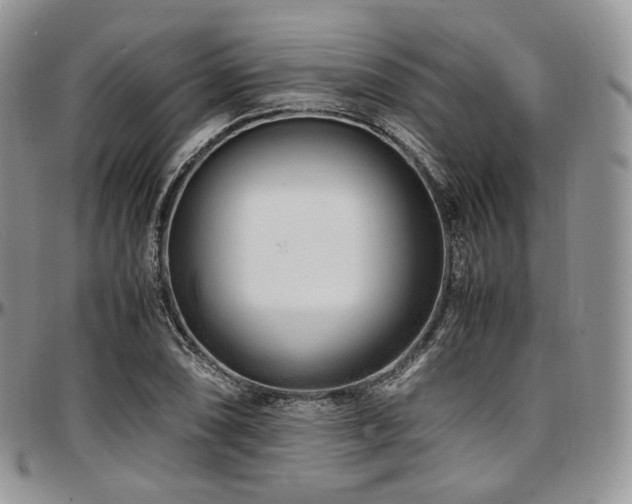 X0000097641074200802291359