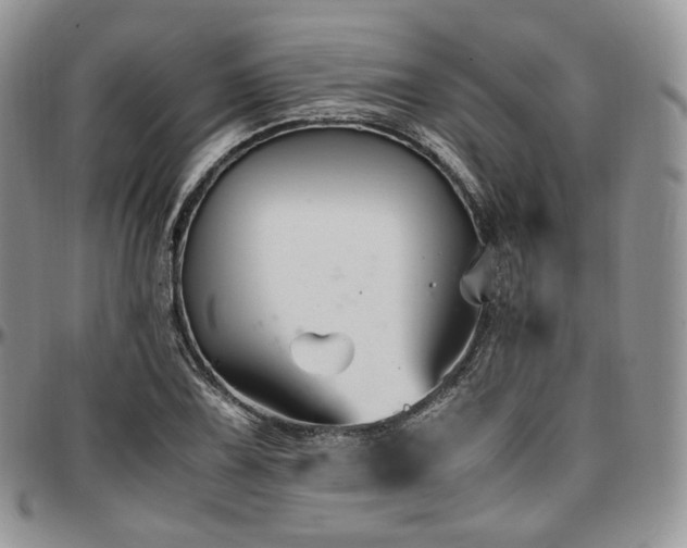X0000097641075200802291359
