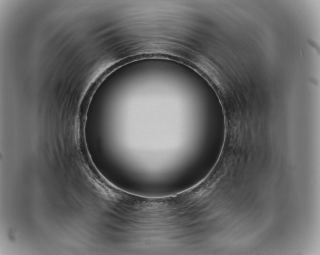 X0000097641076200802291358