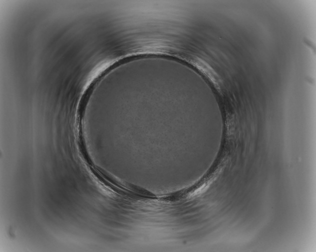 X0000097641077200802291358