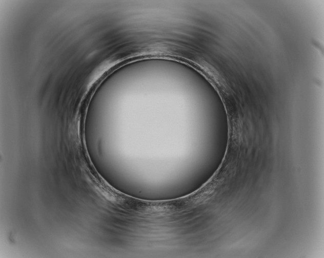 X0000097641078200802291358