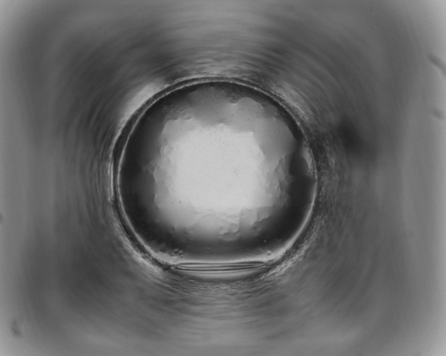 X0000097641079200802291358