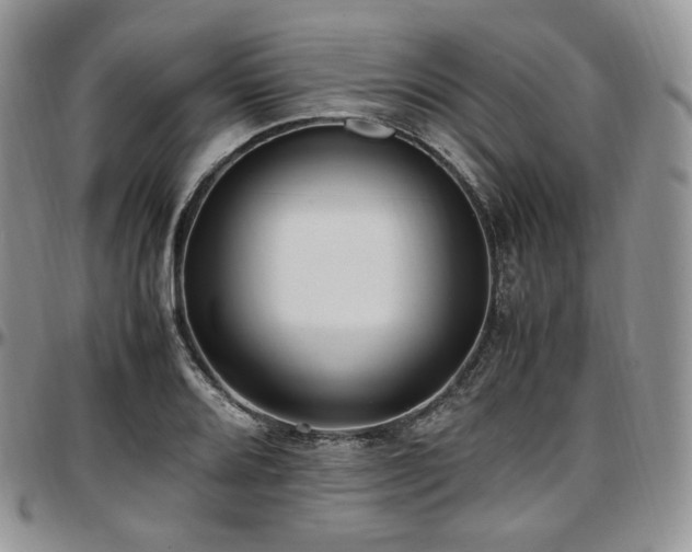 X0000097641080200802291358