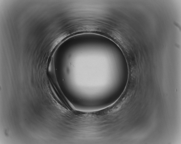 X0000097641081200802291358