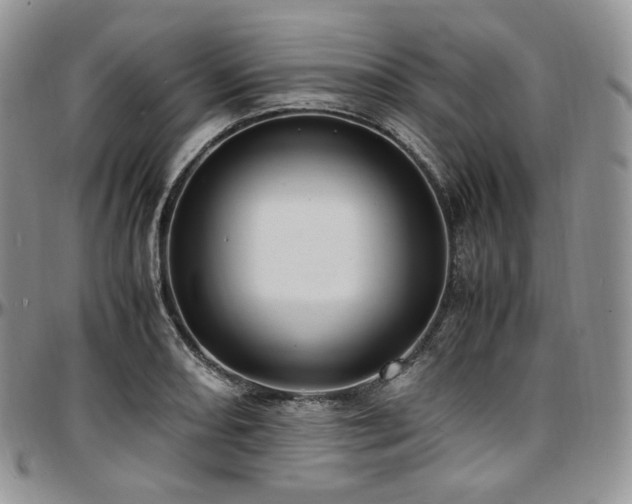 X0000097641082200802291358