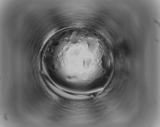 X0000097641083200802291358