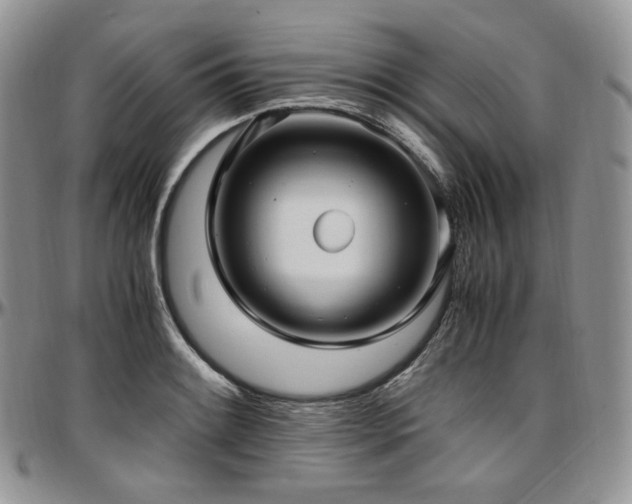 X0000097641084200802291358