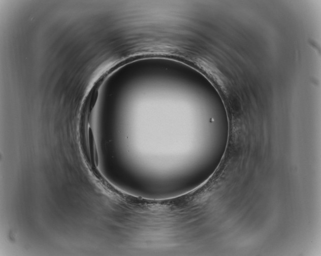 X0000097641085200802291358