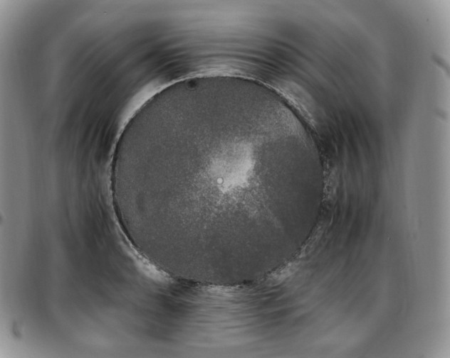 X0000097641086200802291358