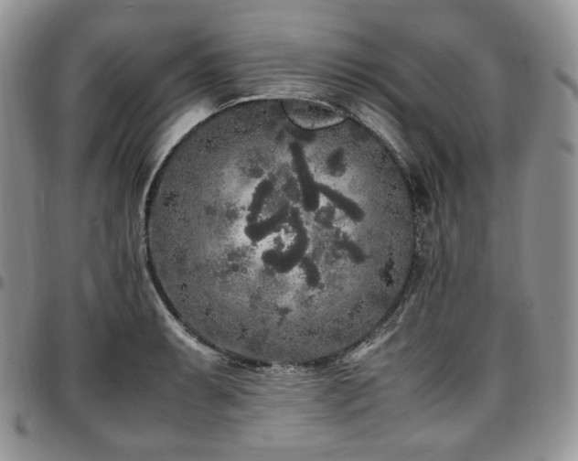 X0000097641087200802291358