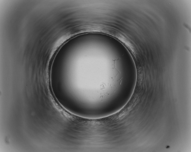 X0000097641088200802291358
