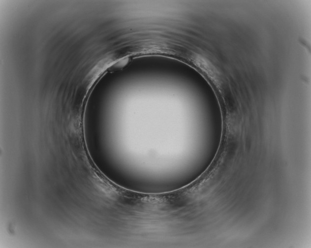 X0000097641089200802291358
