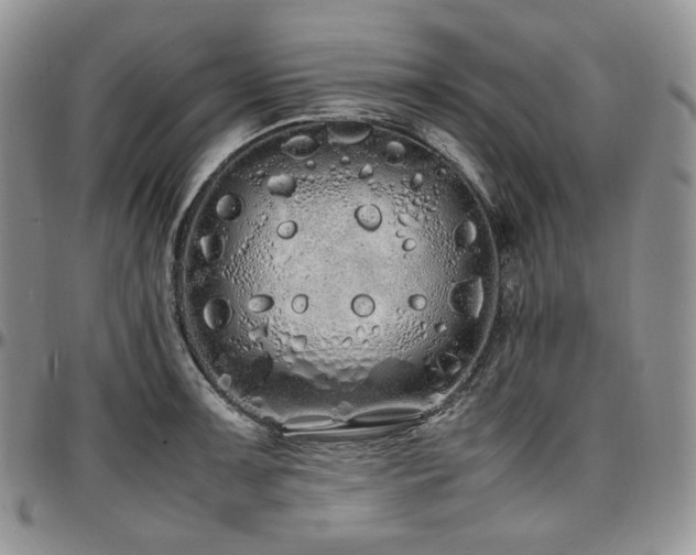 X0000097641091200802291358