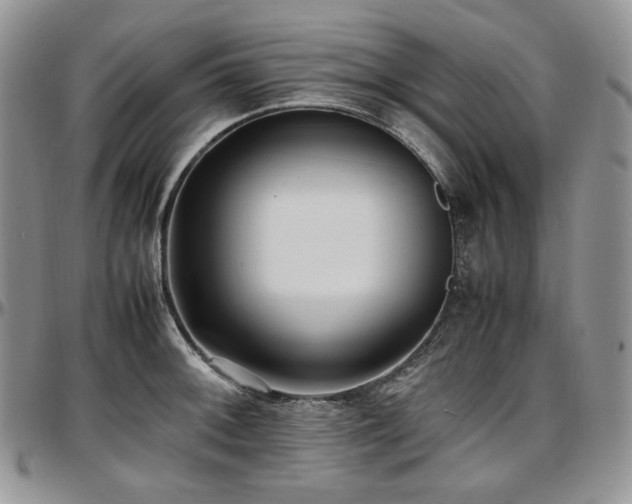 X0000097641092200802291358