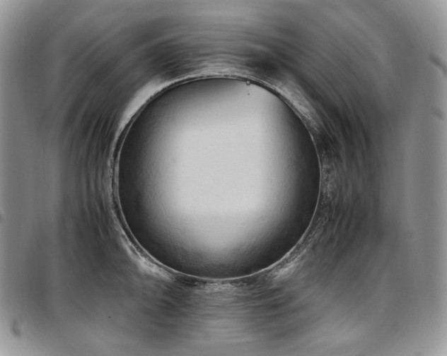 X0000097641094200802291358