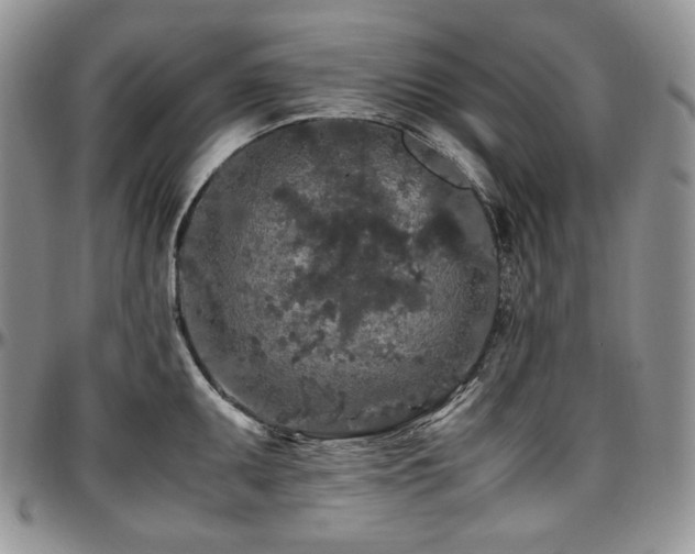 X0000097641095200802291358