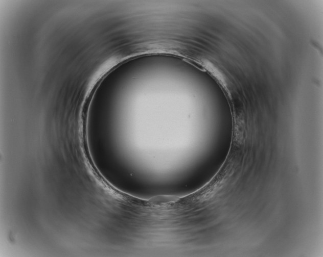 X0000097641096200802291358