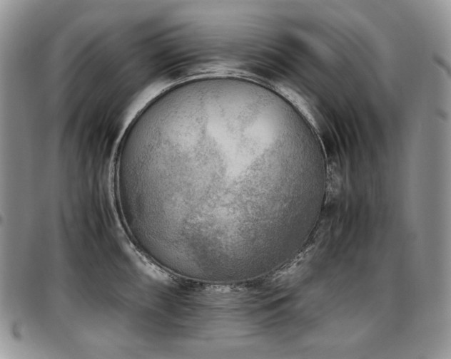 X0000097641098200802291358
