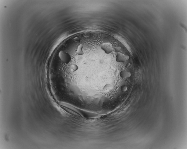 X0000097641099200802291358