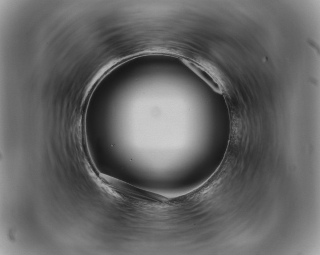 X0000097641100200802291358