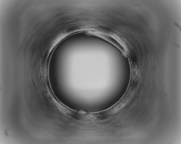 X0000097641101200802291358