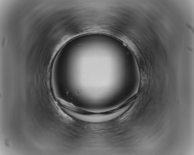 X0000097641102200802291358