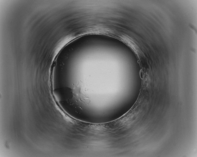 X0000097641103200802291358