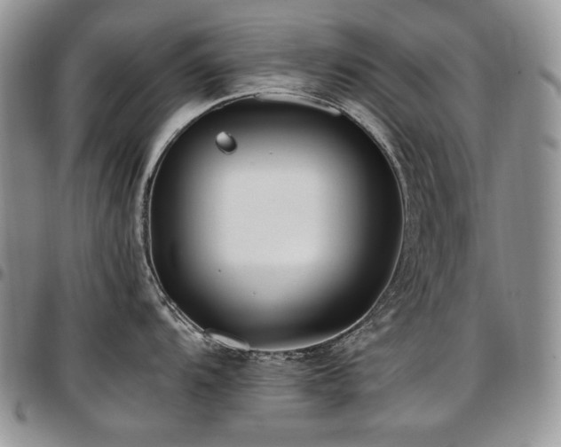 X0000097641104200802291358