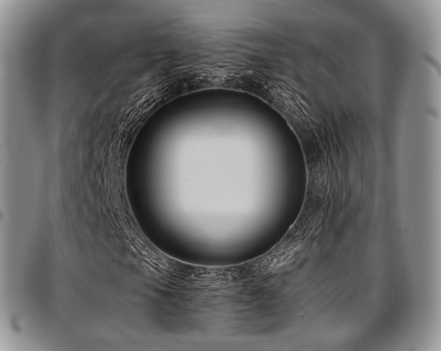 X0000097641105200802291357